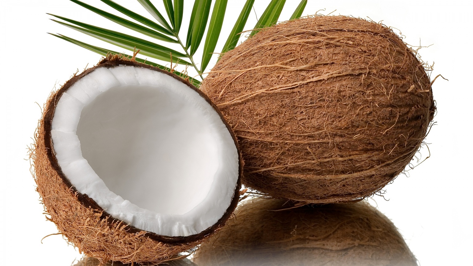 fresh_coconut-1536x864